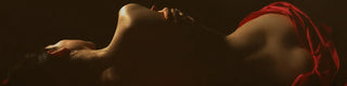 Erogenous Zones & Anatomy: The Complete Guide