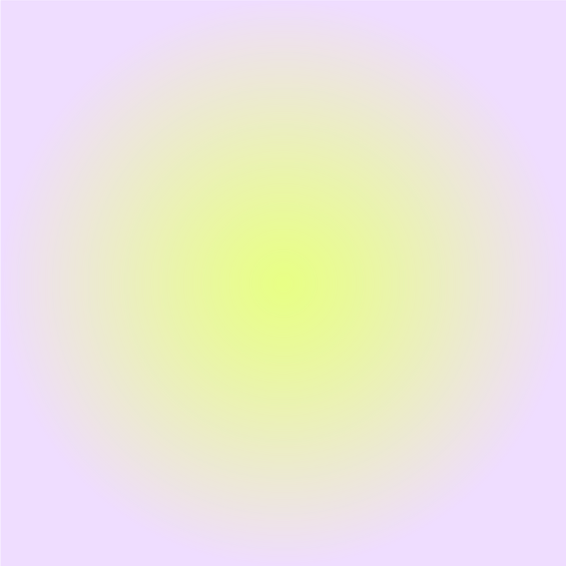 WRAP UP 2025 WITH PLEASURE